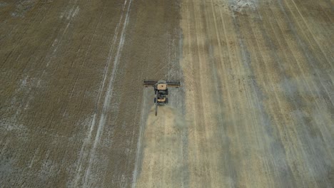 Industrial-tractor-harvesting-wheat-field-with-machinery-on-farm-field-in-summer