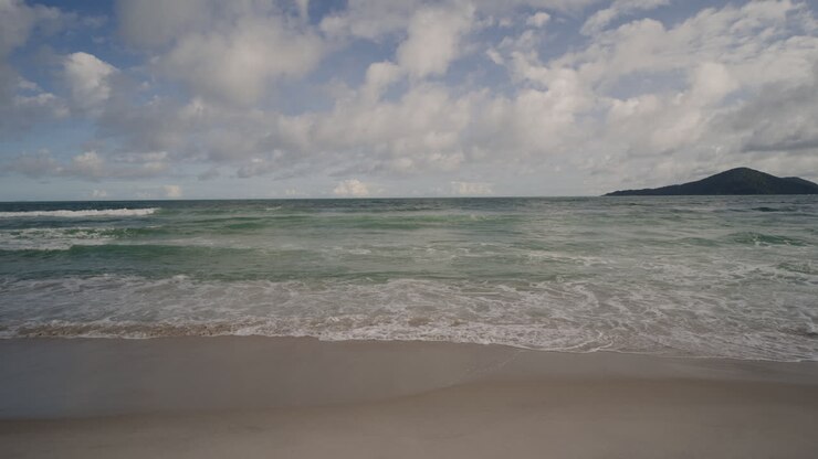 Le paysage de la plage est magnifique.