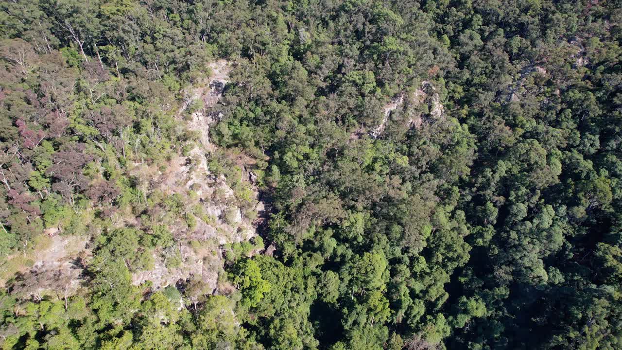 selvas de pendientes escarpadas de las cataratas lookout y bull falls en el monte mee, queensland, australia