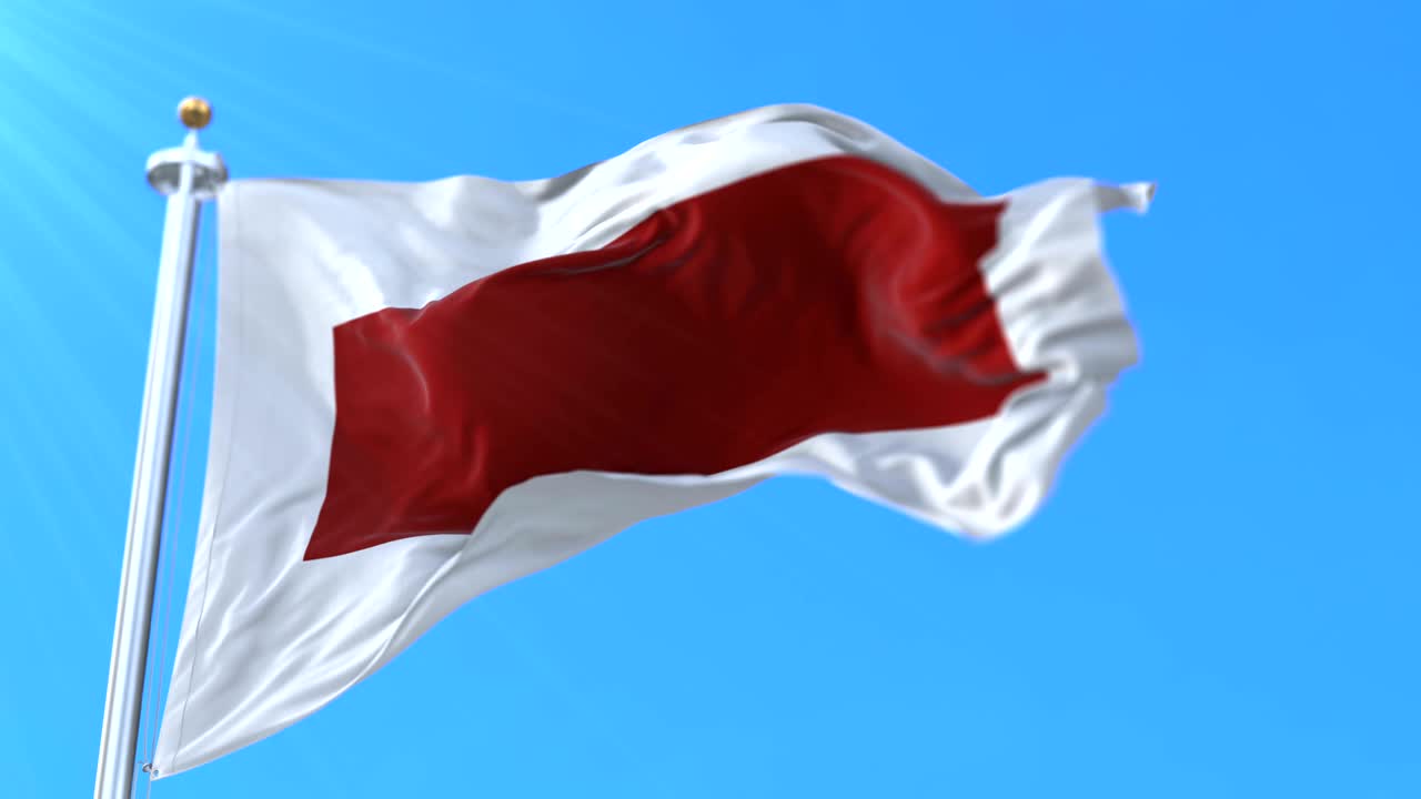 아랍에미리트 샤르자 에미레이트의 국기 - 루프