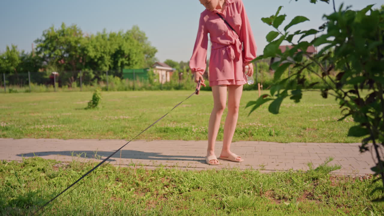 Green Field Woman Walking With Leash. Light Pink Dress Silhouette Pauses On Sunlit Path In Open Meadow, Leash Slack And Gaze Thoughtful, Trees And Horizon In Background Convey Reflective Summer Stroll