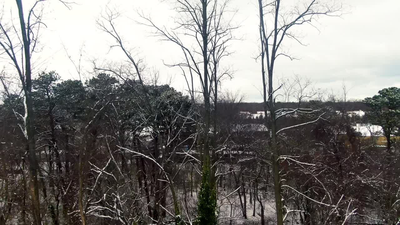 Winter forest park covered in snow, cold weather West Babylon Long Island United States, aerial