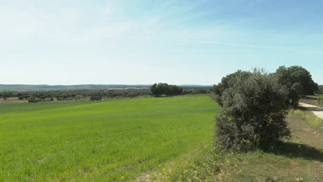 sunny day landscape images