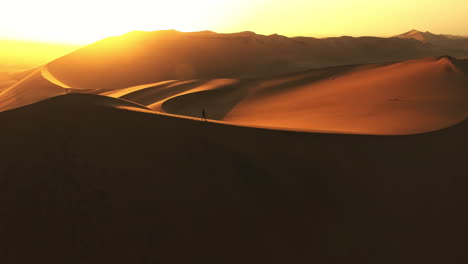 dwarfed by the vastness of the desert