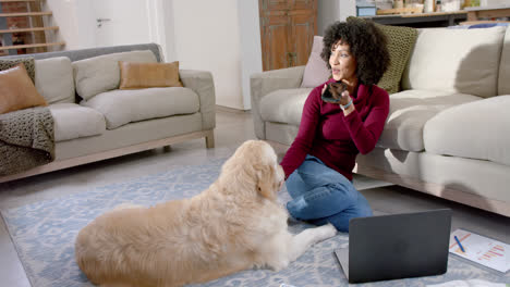 happy biracial woman with golden retriever dog using laptop and smartphone at home, slow motion