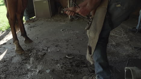 Slow-motion-of-horse-farrier-using-a-nippers-to-trim-a-horse's-hoof-a-large-junk-falling-to-the-ground-