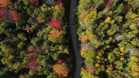 Vista-Aérea-De-Arriba-Hacia-Abajo-De-Una-Carretera-Vacía-En-Medio-De-Un-Bosque-Colorido-En-La-Temporada-De-Otoño