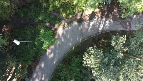 Zoom-Schwindel-Aufnahme-Eines-Wasserstreifens,-Der-Auf-Die-Gehwegstraße-Fließt.-Reiner-Wasserstreifen-Aus-Der-Grünen-Waldnatur