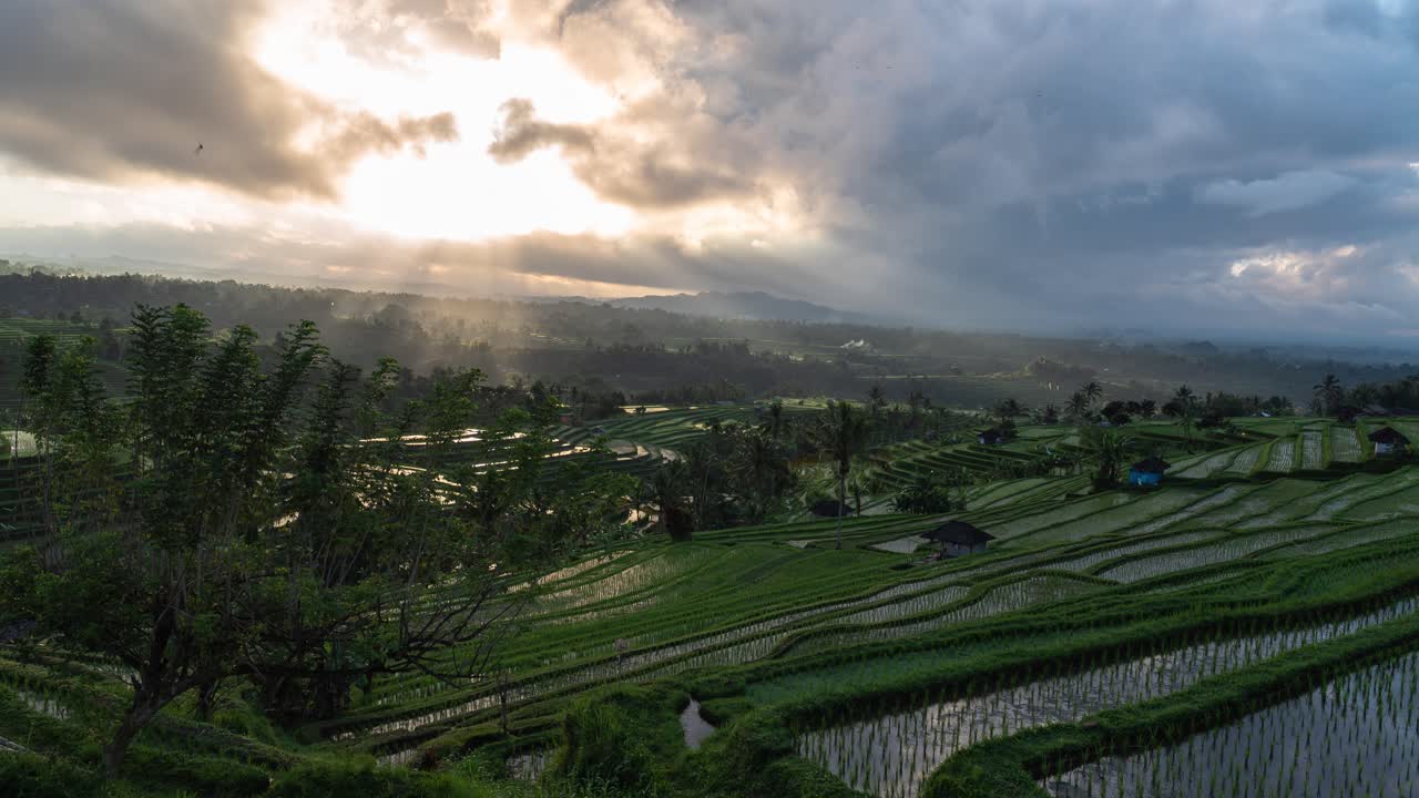 Stunning Rice Terraces of Bali