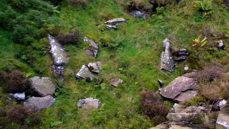 Langsamer-Aufstieg-Aus-Einer-üppigen-Sumpfquelle,-Die-Dann-Die-Landschaft-Enthüllt-Und-In-Einem-Violetten-Linseneffekt-Der-Untergehenden-Sonne-Endet