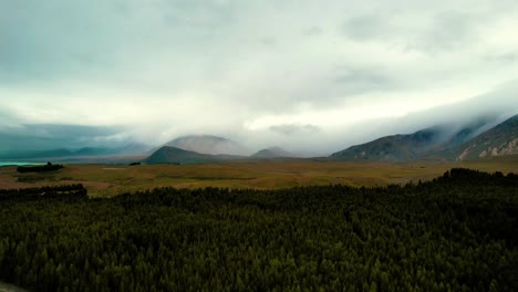 Neuseeland-Landschaft-Luftdrohne-Blick-Auf-Nebligen-Kiefernwald-Und-Berge