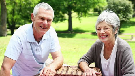 Feliz-Pareja-De-Ancianos-Relajándose-En-El-Parque-Con-Una-Cesta-De-Picnic