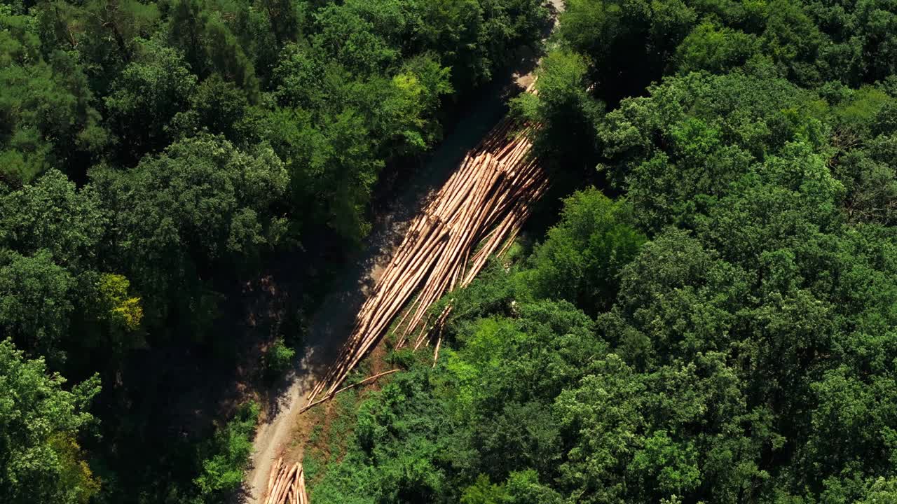 Aerial view of logging operation in a forest