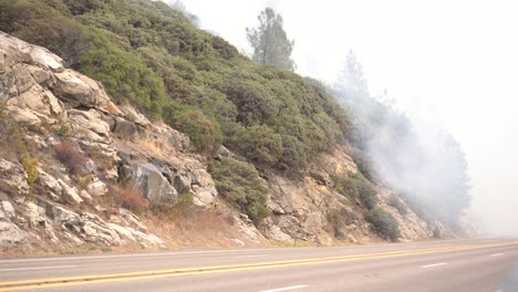 humo rodando en la calle durante el incendio forestal