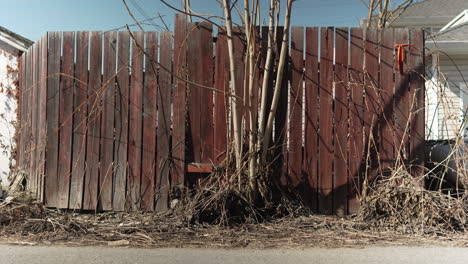 Wooden-fence-with-dead-trees