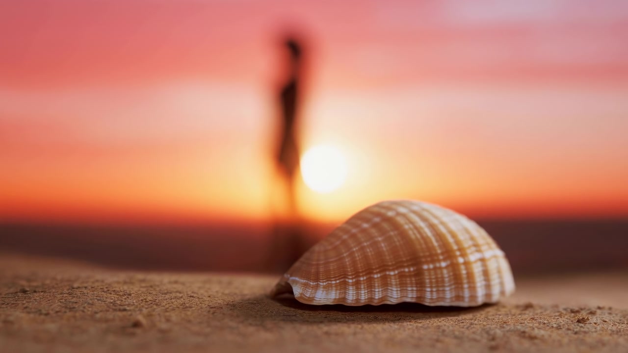 In the middle frame of a beach video sequence, a seashell rests on sand in the foreground while a distant silhouette of a person walks along the shore