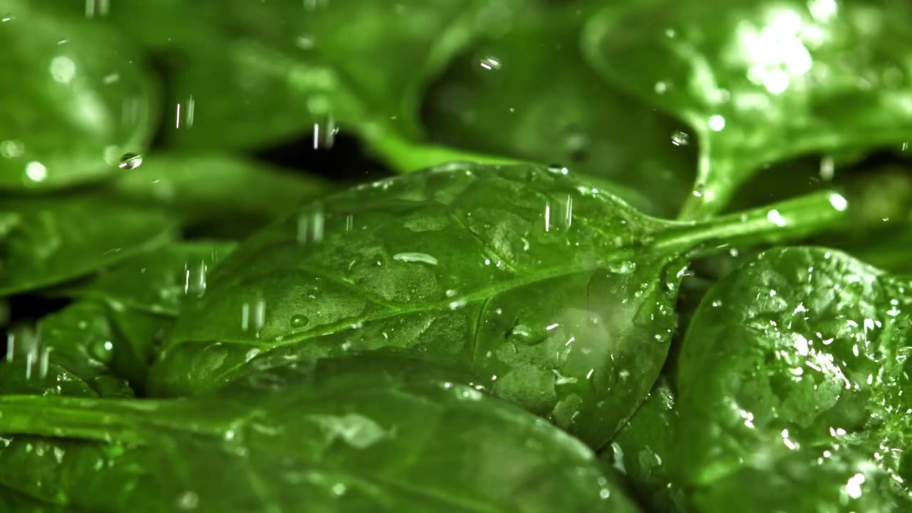 Gocce d'acqua che cadono su foglie di spinaci freschi e verdi
