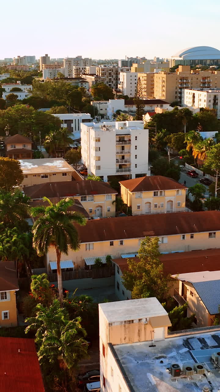Flight above the houses in sunny Miami. Cozy houses and palm-trees in the residential area of American city. Vertical video