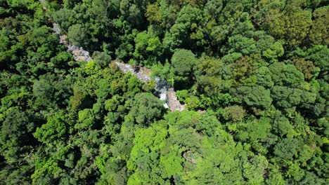 Exuberante-Selva-Y-Cascada-En-El-Valle-De-Currumbin,-Queensland,-Australia---órbita-Aérea