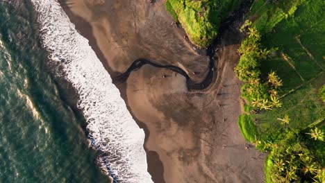 top down tropical beach - long static shot overhead