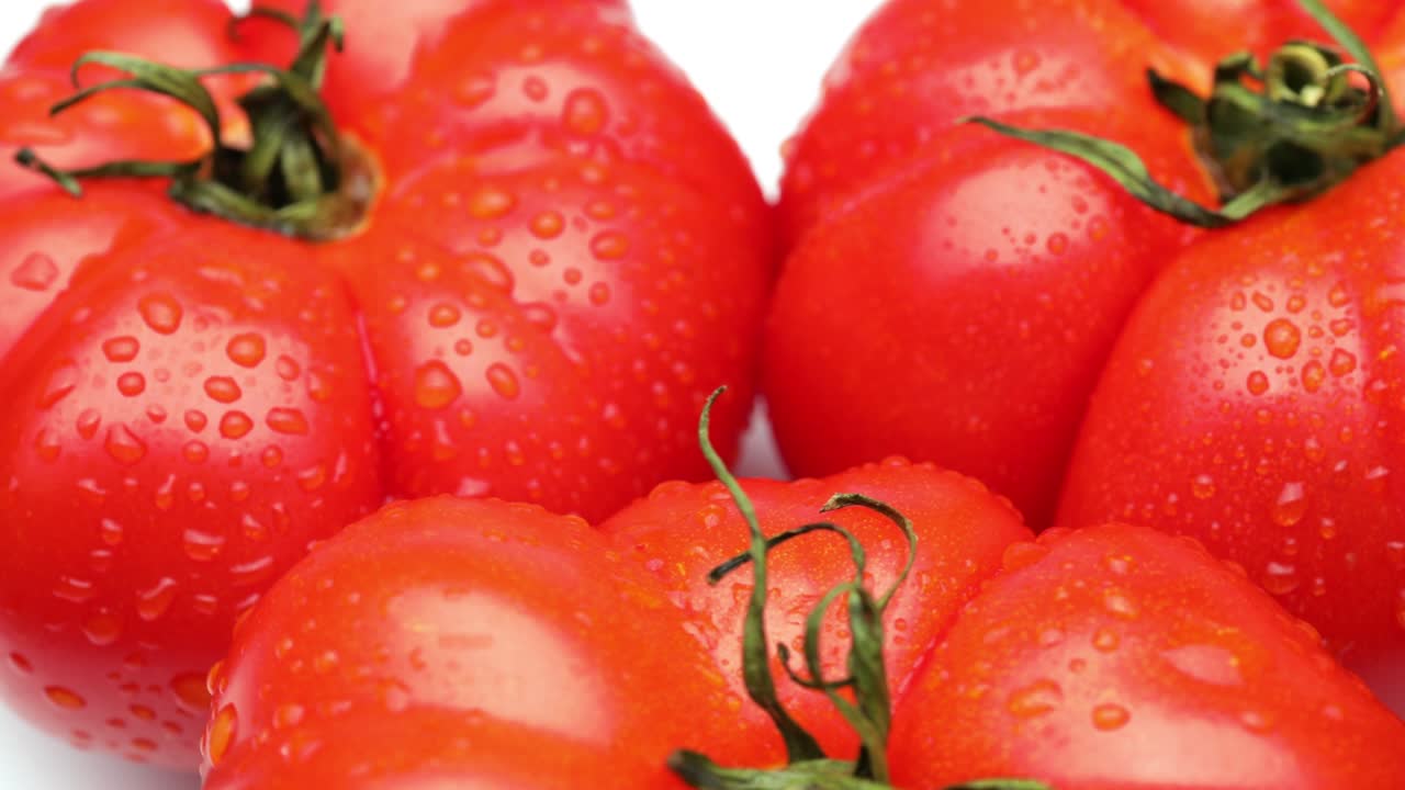 은 토마토 (루핑)