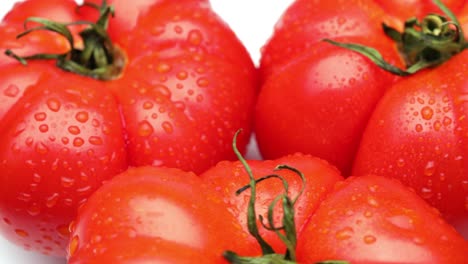 tomates rojos (en bucle)