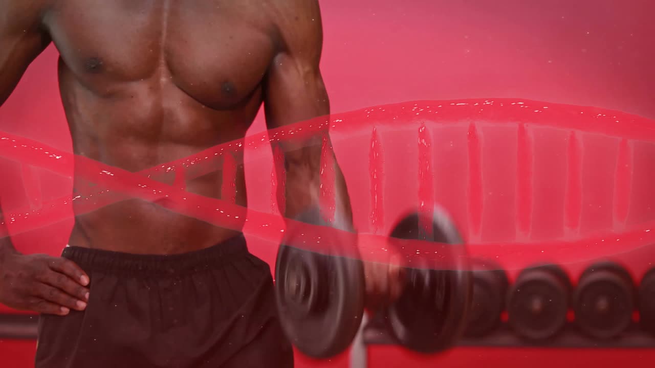 Atleta di fitness che tiene un manubrio all'altezza della vita e inizia a fare curl per bicipiti, con un'overlay a elica di DNA che si sincronizza.