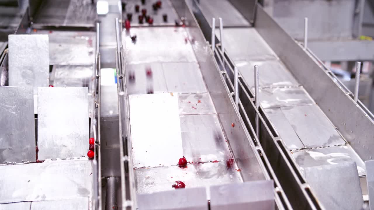 Sorting of berries at factory. Processing of sorting berries with special machines