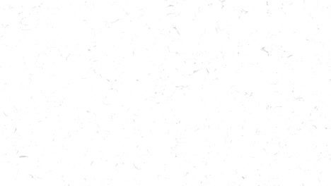 white paper texture