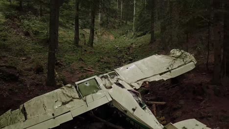 Dolley-De-Drones-Hacia-Atrás-Disparó-Sobre-Un-Avión-Hundido-En-Un-Bosque-En-Francia-En-Otoño