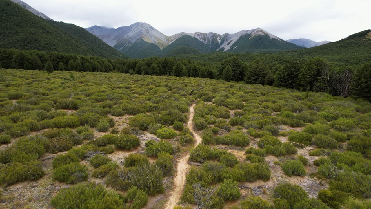 Drone shot over a MTB biker, riding through nature of Cragieburn, New Zealand