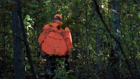 hunters wearing orange walking through the forest with their gun and hunting dogs