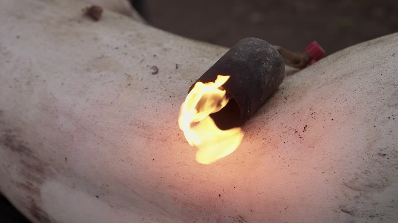 Blowtorch singeing pig skin during traditional slaughter in Minho northern Portugal