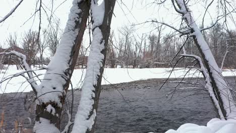 Tiro-Empujando-Hacia-Un-Río-Helado-Rodeado-Por-Un-Bosque-Cubierto-De-Nieve