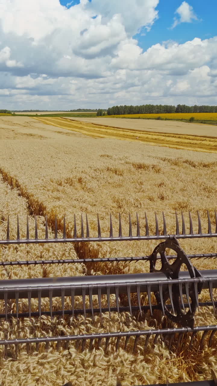 Details of a modern combine harvester. Close-up. Agricultural machine works in the wheat field. Harvesting crop. The concept of agronomy. Vertical video