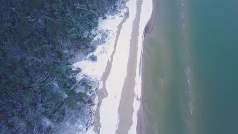 hermosa vista aérea de pájaros de la costa del mar báltico en un día de invierno nublado, playa con arena blanca cubierta de nieve, erosión costera, cambios climáticos, tiro de drones de gran angular moviéndose hacia atrás