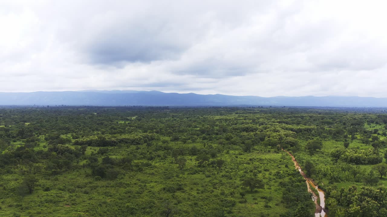 calm natural  green vegetation with clouds