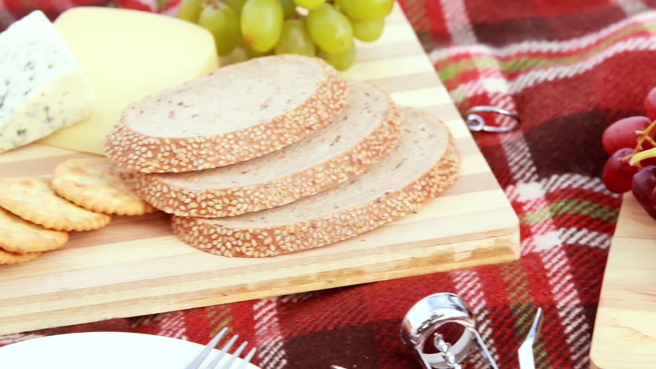 피크닉 담요 에 있는 맛있는 음식 의 개요