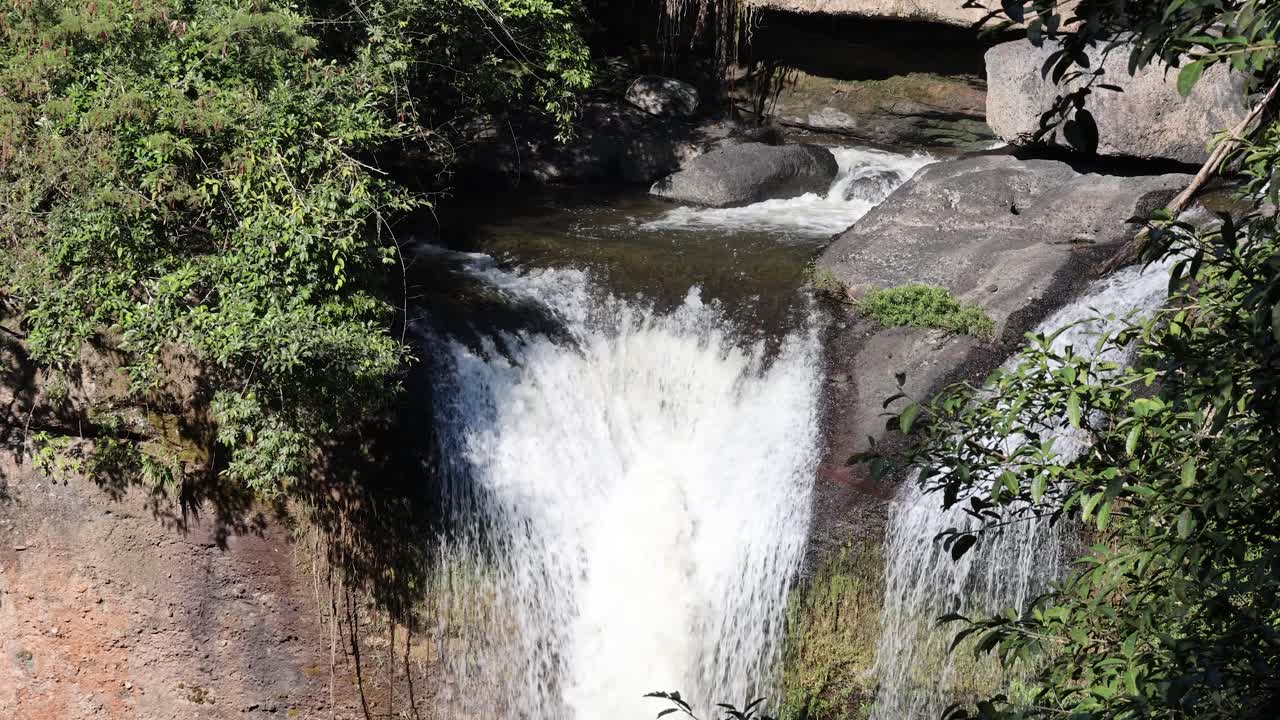 el agua cae en cascada por las rocas en medio del follaje verde