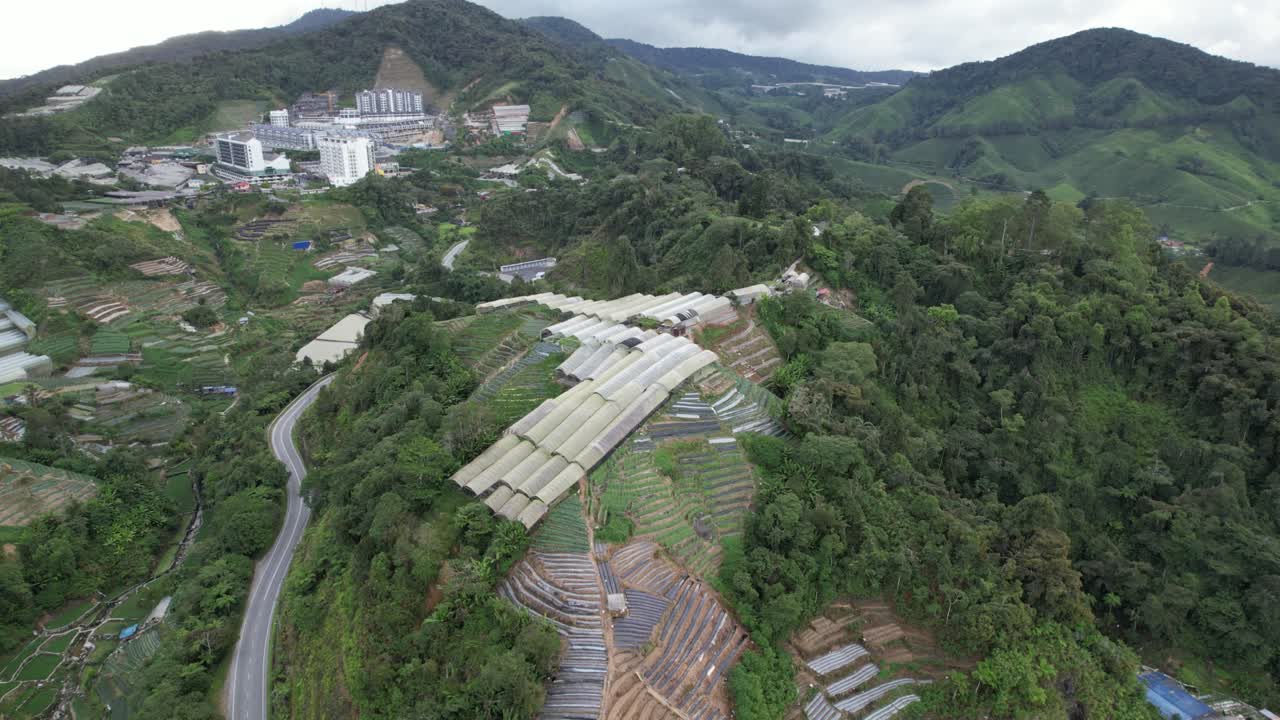 말레이시아의 카메론 하이랜드 지역 내의 브린창 지역의 일반 풍경