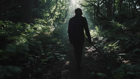 person walking through a lush forest