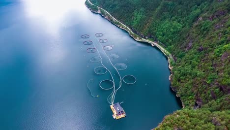 Aerial-footage-Farm-salmon-fishing-in-Norway