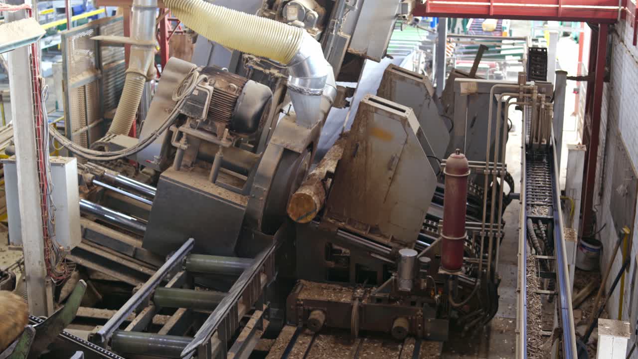 Fábrica de serraria. Toras sendo transferidas em uma máquina de toras dentro da indústria madeireira.