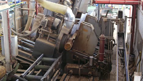the tree sawmill factory. logs being transferred on a log machine inside the sawmill industry