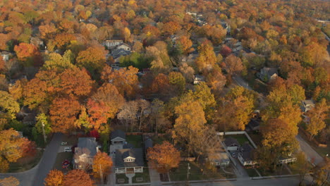 Antena-De-Hermoso-Barrio-En-Kirkwood-En-St