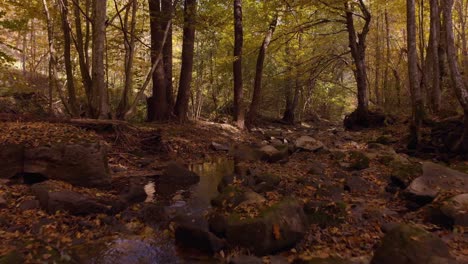 low drone footage over small river in autumn-5