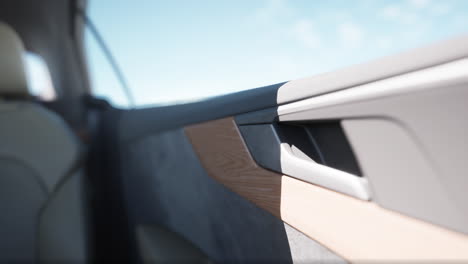 close-up of a car interior door handle