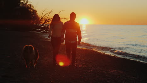 young couple walking a dog at sunset