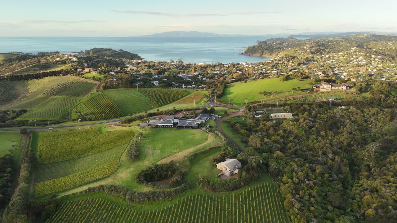 Sunset over forest and vineyards on Waiheke Island, with Oneroa town and bay in background, New Zealand wine region. Aerial drone panoramic view