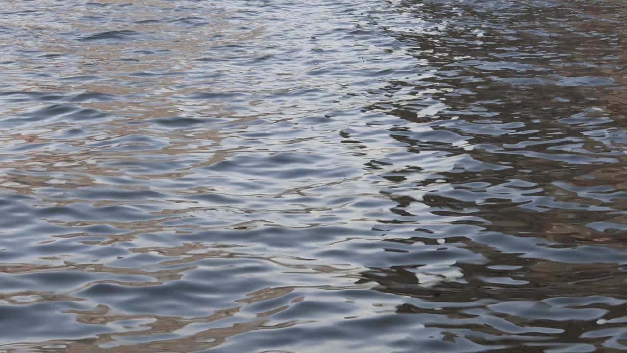 물 위 에 빛 을 반사 하는 부드러운 파도